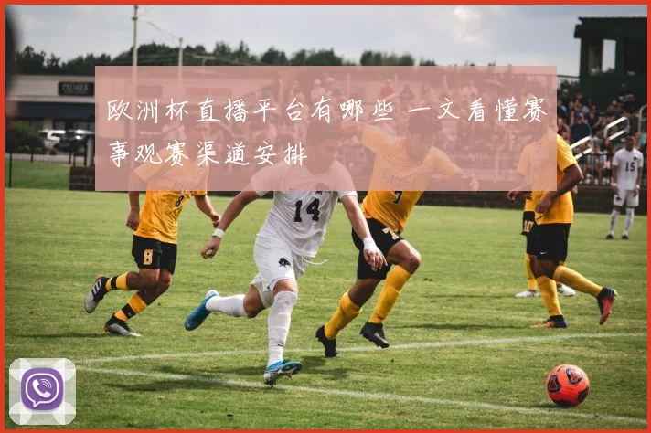 欧洲杯直播平台有哪些 一文看懂赛事观赛渠道安排