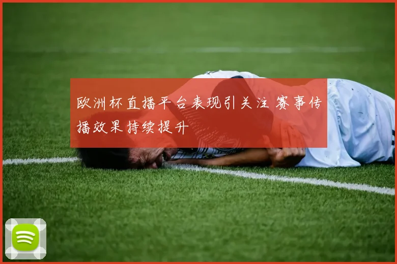 欧洲杯直播平台表现引关注 赛事传播效果持续提升