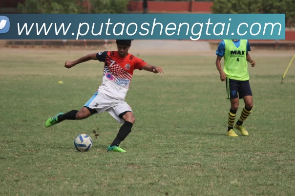 多媒体互动体验