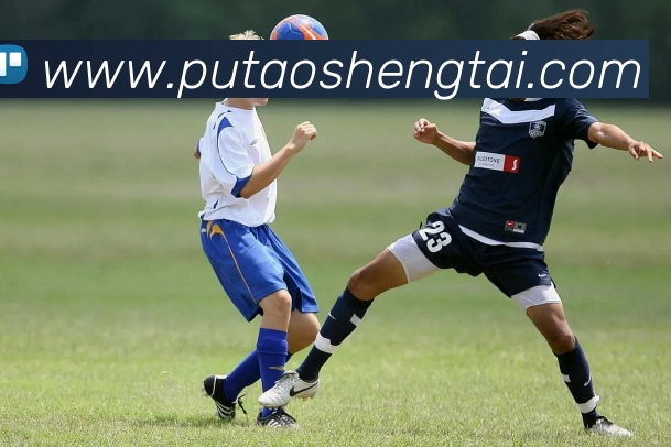 冠竞体育·冠竞官方网站 - 冠竞体育(中国)APP 封面图